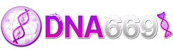 dna669 เว็บพนันครบวงจร สนุกเต็มพิกัด เดิมพันไร้ขีดจำกัด